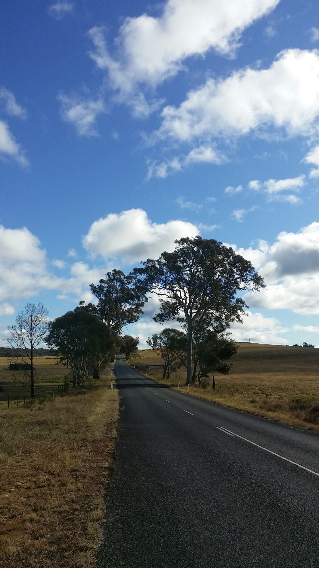 Blue skies above the first kilometres of Wombeyan Caves Road.